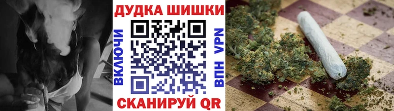 купить наркоту  Бердск  Марихуана планчик 